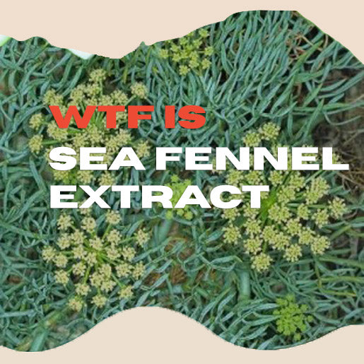 What is Sea Fennel Extract - Plant-Based Retinol
